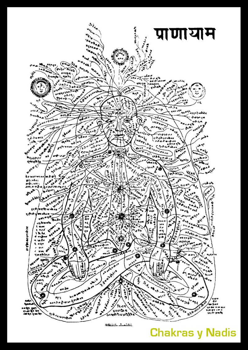 Chakras, Meridianos y&nbsp;Reiki