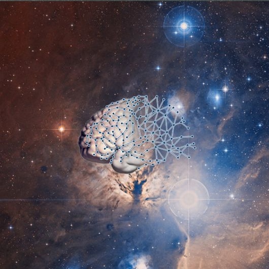 El cerebro de&nbsp;Boltzmann