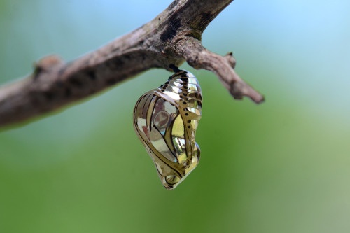 QI: Sociedad líquida
