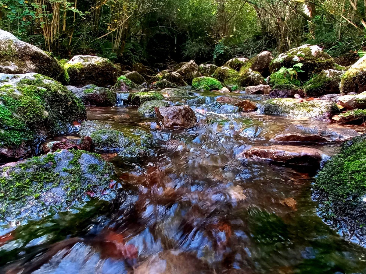 Dios es mujer y es&nbsp;agua