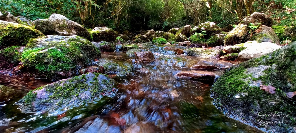 Dios es mujer y es&nbsp;agua