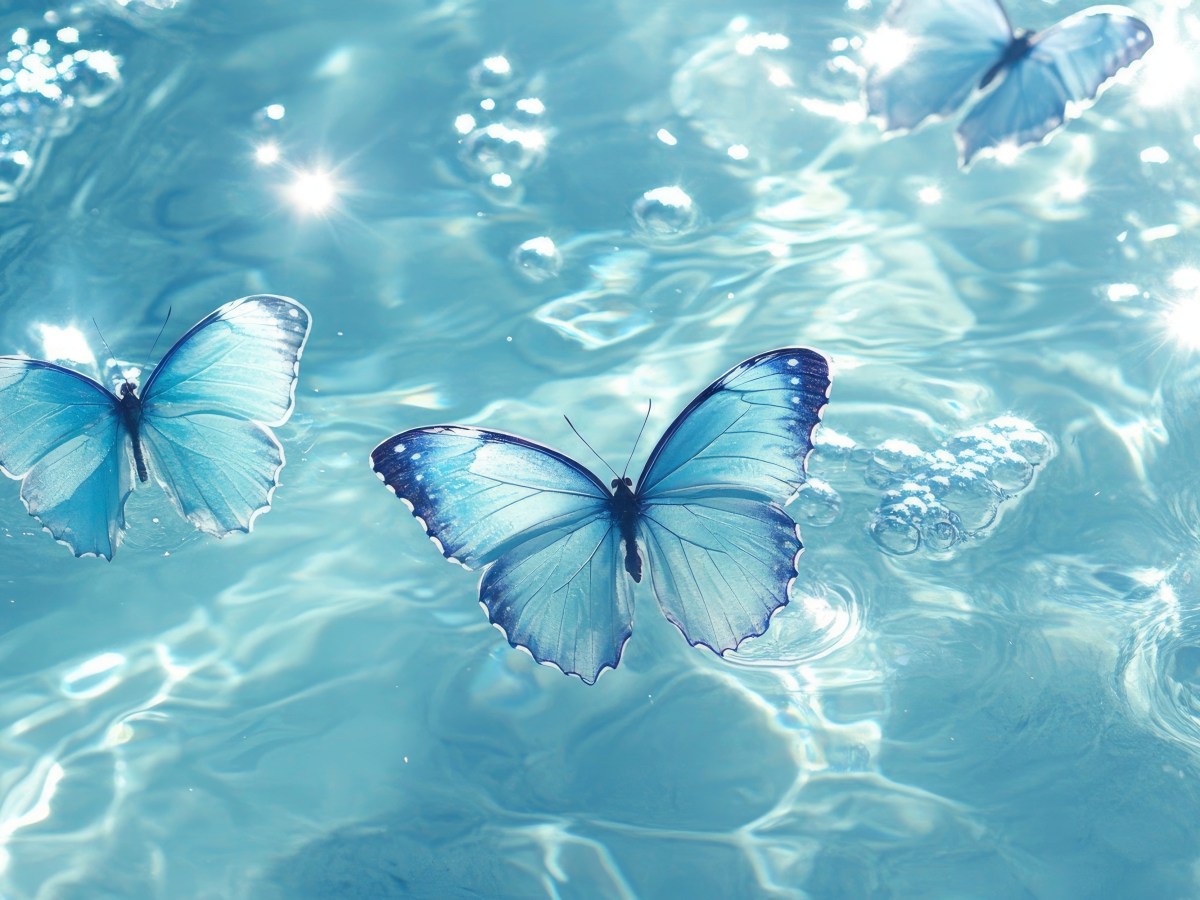 Delicado batir de&nbsp;alas